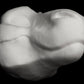 Cut & carved Dinosaur foam head base for costumes, mascots and fursuits.