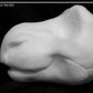 Dragon foam head base for costumes, mascots and fursuits.