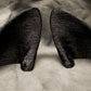 Pointed canine ear blanks, soft foam for LARP, festivals, costumes, mascots and fursuits (1 pair)