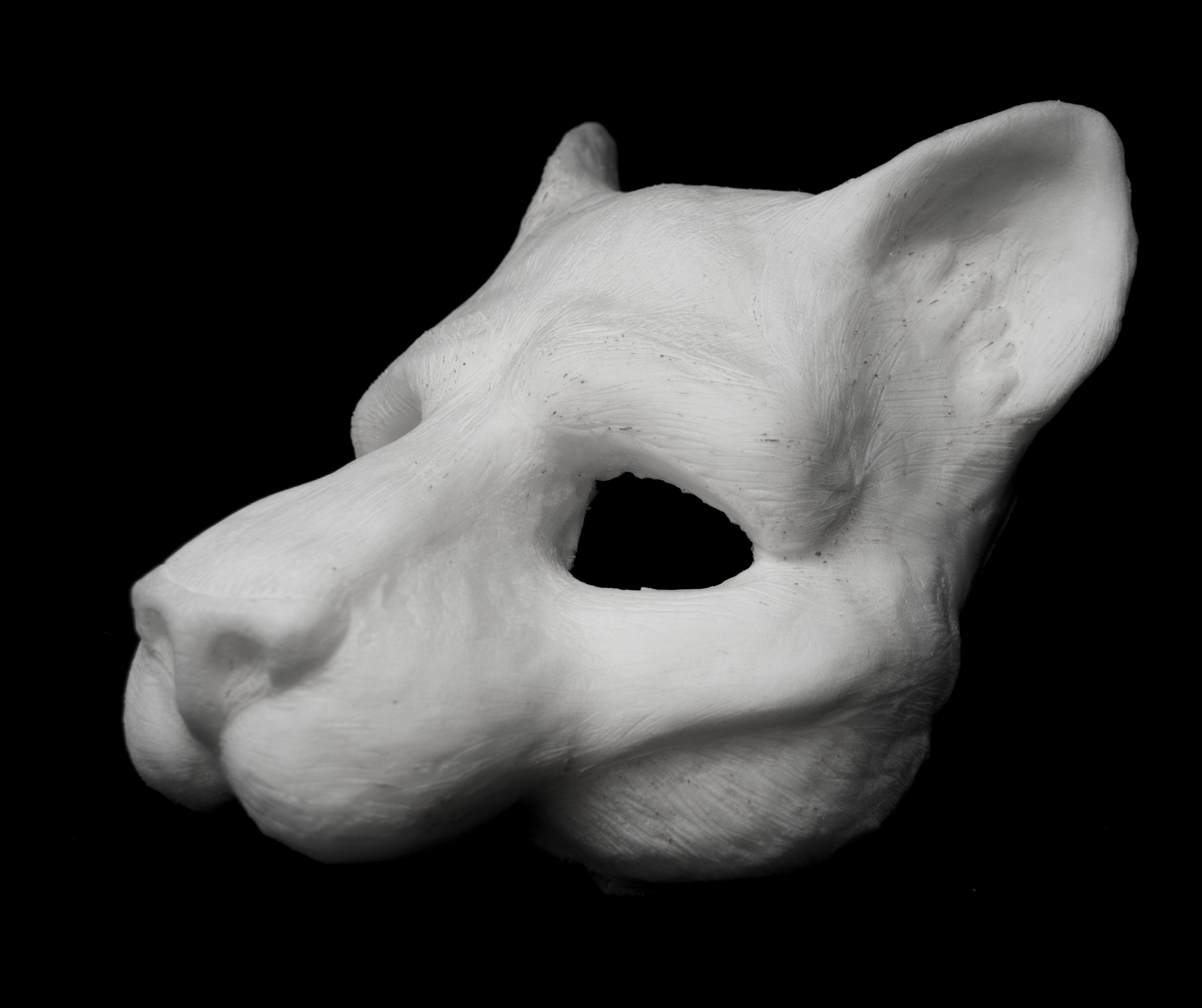 Realistic Big Cat outlet Fursuit Mask Resin Blank with Moving Jaw