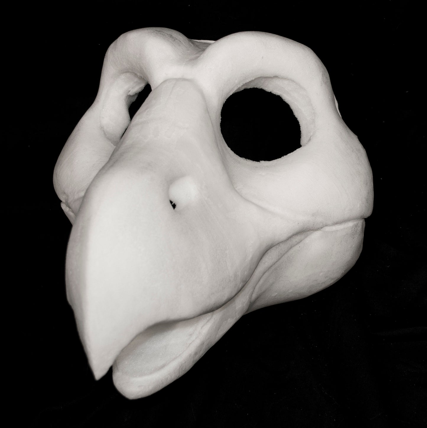 Cut & Carved Large Bird of Prey Foam Head Base for Costumes